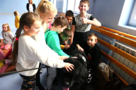 Dzieci podczas spotkania z psami rasy nowofunland 