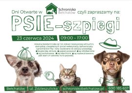 Plakat zachęcający do adopcji zwierząt 