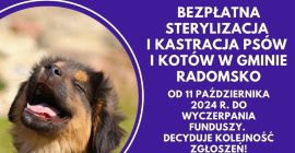 Plakat informujący o kastracji psów i kotów