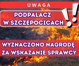 Grafika informacyjna 