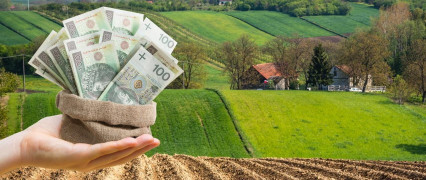 Grafika: pola, drzewa i pieniądze