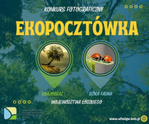 Zielona plansza z napisem EKOPOCZTÓWKA