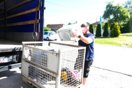 Mężczyzna wrzuca zużyty elektrosprzęt do specjalnego pojemnika 