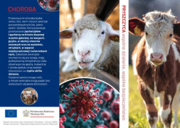 Ulotka informacyjna. Widoczne owca i informacja o pryszczycy 