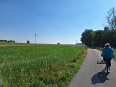 Kobieta jadąca rowerem po drodze