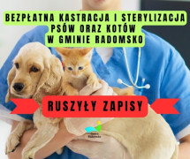 Kolorowy plakat informacyjny. Widoczny pies i kot
