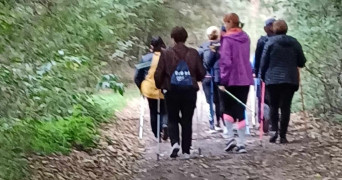 Grupa osób podczas marszu Nordic Walking leśnym duktem 
