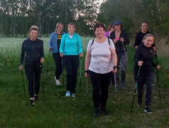Grupa osób podczas marszu Nordic Walking leśną drogą