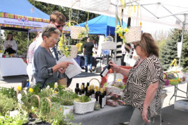 Stoisko wystawiennicze z naturalnymi produktami m.in. olejami 