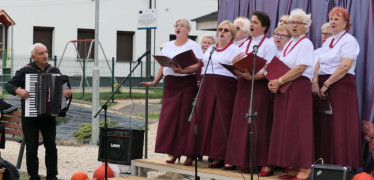 Zespół muzyczny podczas występu scenicznego 