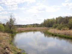 Rzeka Warta 