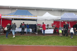 Stoiska wystawiennicze 