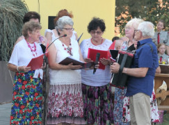 Zespół muzyczny podczas występu 
