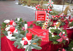 Stroiki świąteczne 