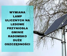 Grafika, widoczna lampa lead, gałęzie drzewa i napisy