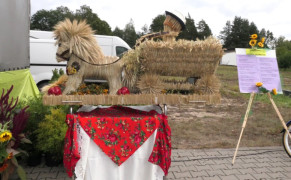 Wieniec dożynkowy 