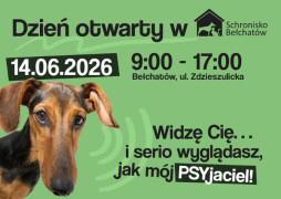 Zielony plakat informacyjny. Widoczny na nim pies 