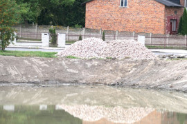 Staw, skarpy i widoczny drobny kamień