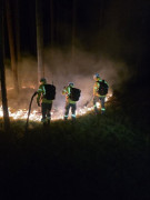 Strażacy podczas gaszenia pożaru lasu 