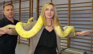 Mężczyzna i kobieta. Kobieta trzyma na barkach węża 