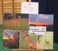 Plakat konkursowy. Widoczne zwierzęta 
